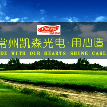 高純壓鑄鋁金鹵燈高壓鈉燈隧道燈 隧道照明燈具