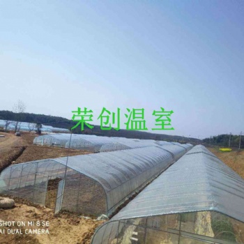 【江西溫室】上栗/興國橢圓管大跨度單體拱棚