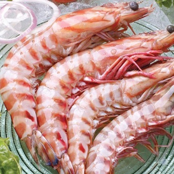 印度凍蝦進(jìn)口報(bào)關(guān)查驗(yàn)被扣如何操作