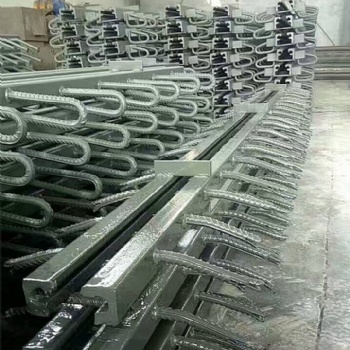 奉節(jié)縣模數(shù)式橋梁伸縮縫類型