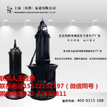 福建福州潛水軸流泵生產廠家