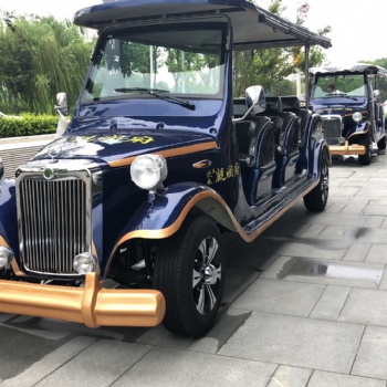 8座電瓶樓盤看房老爺車