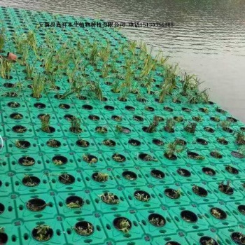 人工浮島廠家 提供組裝技術(shù) 現(xiàn)場(chǎng)組裝