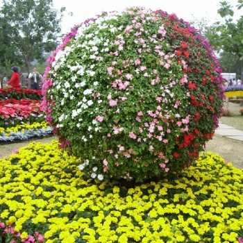 北京綠雕公司五色草雕塑植物墻卡通綠雕廠家