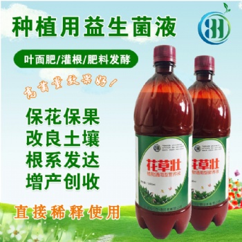 秋冬季種什么蔬菜用什么肥料