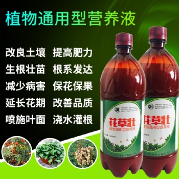 秋冬季種蔬菜應該用什么肥料