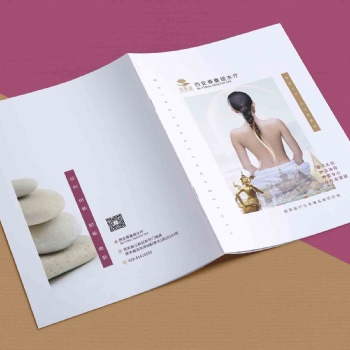 西安咸陽宣傳冊設計方案策劃 系列食品包裝宣傳冊設計公司