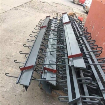 睿智橋梁伸縮縫 z型橋梁伸縮縫 D80伸縮縫型號廠家