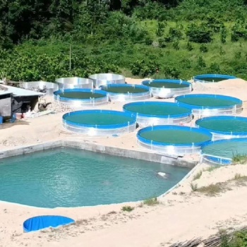 圓形鍍鋅板帆布養魚池 便捷帆布水池圓桶養殖篷布訂做水池