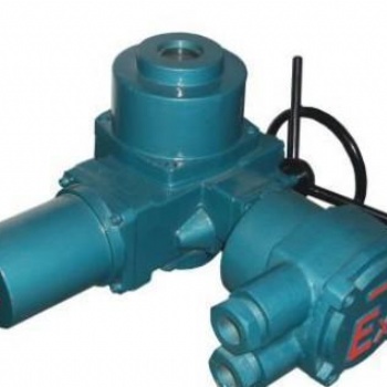 Q250-0.5 BQB250-1 防爆型部分回轉電動裝置