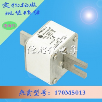 巴斯曼熔斷器 170M5013 全新出售供應(yīng)