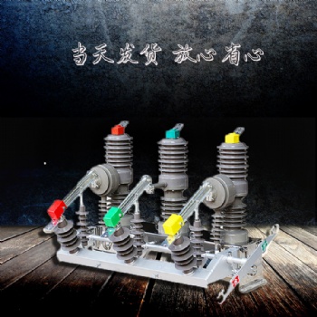 ZW32智能分界開關 戶外真空斷路器 帶隔離 廠家**