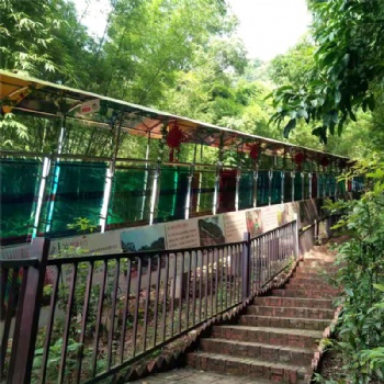 景區(qū)高架觀光魔毯安裝 飛天魔毯輸送帶造雪機(jī)廠家