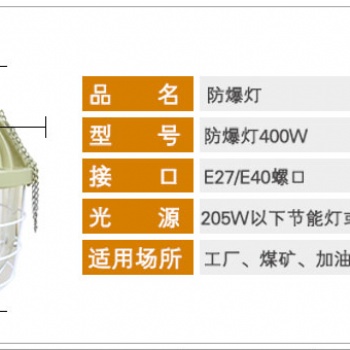 隔爆型防爆燈-BCD