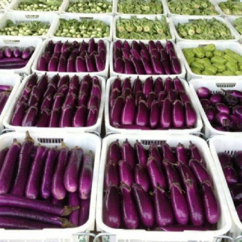 東莞橫瀝食材配送優(yōu)菜王商城方便快捷