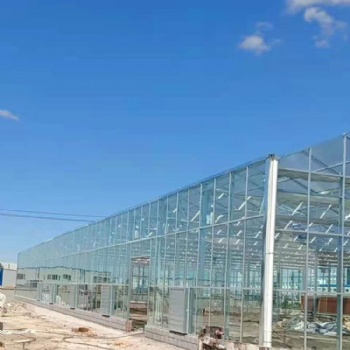 連棟大棚 湖北連棟大棚價(jià)格 連棟大棚供應(yīng)