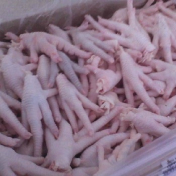 巴西鳳爪進口報關**代理公司