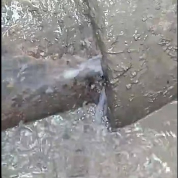 湖州地下水管查漏維修專(zhuān)業(yè)公司 地下水管漏水檢測(cè) 地下水管探漏 聽(tīng)漏 測(cè)漏