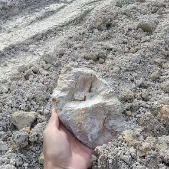 廠家** 廣西白泥 耐火材料細粉 高嶺土礦 200目 30鋁江蘇