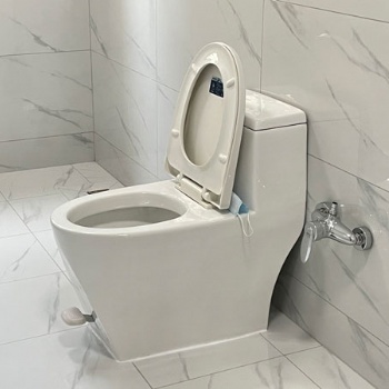 一生水節水腳踏直排式坐便器
