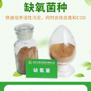 生化池運(yùn)營(yíng)微生物缺氧菌