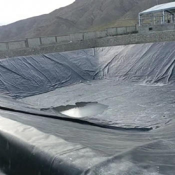 加工定制防滲土工膜垃圾填埋場污水處理防滲土工膜