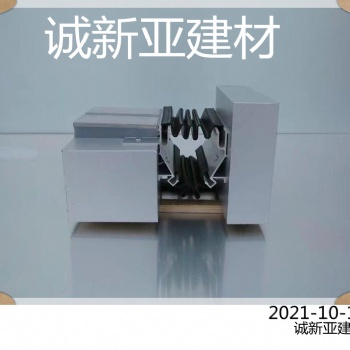 肇慶市 誠(chéng)新亞雙列鉗平型變形縫安裝方法