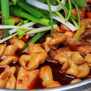 四川正宗肥腸雞肥腸魚底料生產批發廠家-技術培訓BL1027