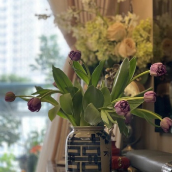 景德鎮陶瓷花瓶花盆批發，青花小花瓶定制廠家