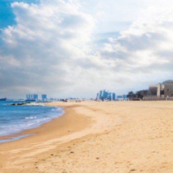 注冊售電公司的要求有什么