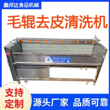 土豆去皮毛輥清洗機 胡蘿卜清洗設備 大姜毛輥清洗機