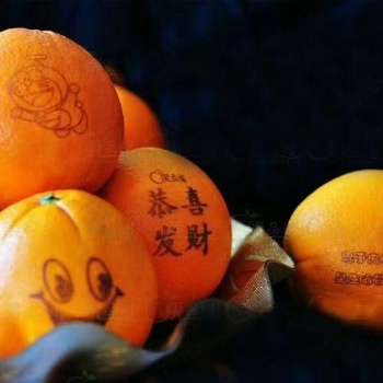 沈陽農產品印字機，雞蛋印字機生產廠家 大連瓦房店蓋州蘋果印字機打字機貼字機價格