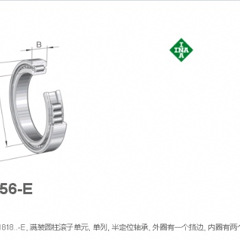 代理德國INA軸承SL181856-E-C3