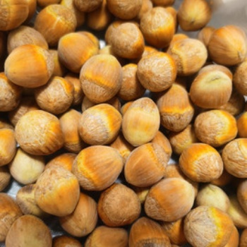 美國(guó)榛子進(jìn)口天津港手續(xù)