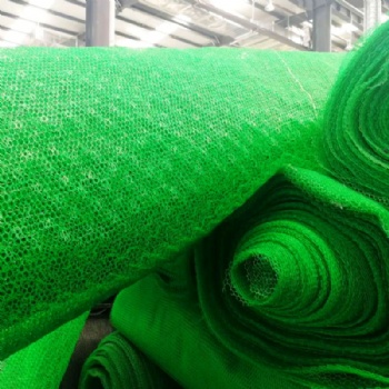 三維植被網植草護坡土工網墊