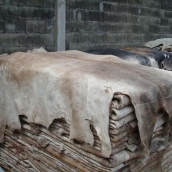 天津驢皮進口報關公司