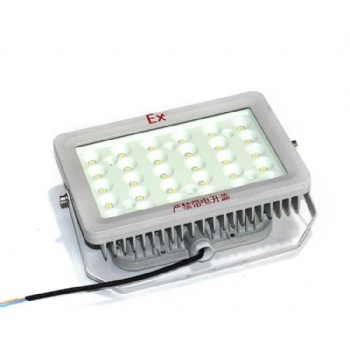 BSX86-C防爆LED燈 壁式 吸頂式 法蘭式 森恩防爆