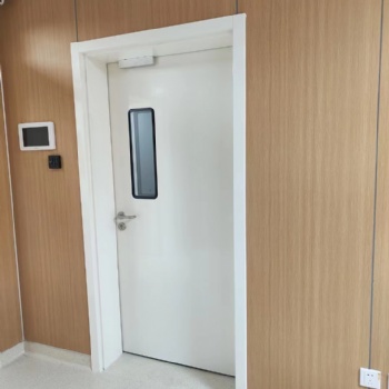 十年老店 精選材質(zhì) 廠家生產(chǎn) 雙開凈化門 無塵車間