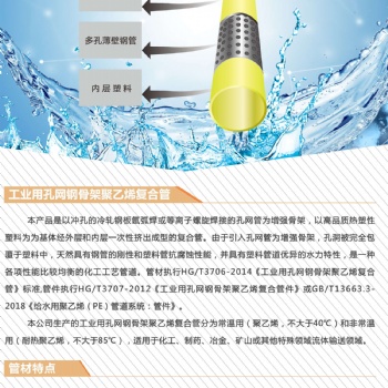 四川廠家化工工藝管耐腐蝕耐高溫孔網管孔網鋼帶PE-RT復合管（東泰管業）