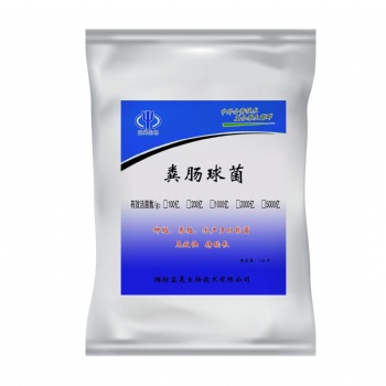 飼用級(jí)糞腸球菌 生產(chǎn)廠家益昊生物 OEM 凍干粉型