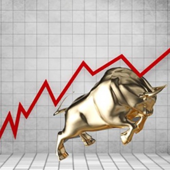 尋找有技術有策略的股票**操盤手