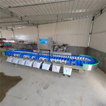 人參果全自動(dòng)稱重分級(jí)分揀機(jī)楊桃全自動(dòng)重量分選機(jī)