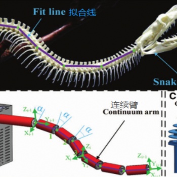 盾構施工刀盤泥餅清除蛇形機器人