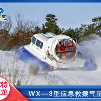 洪流中的希望之光：多功能抗洪搶險(xiǎn)氣墊船，為生命護(hù)航！