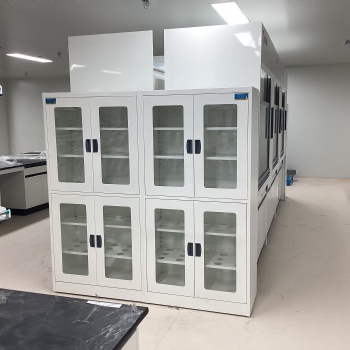 實驗室器皿柜 藥品柜 資料柜 試劑柜 可加通風 實驗臺定制